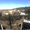 09_45-nest.jpg