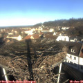 09_55-nest.jpg