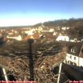 10_05-nest.jpg