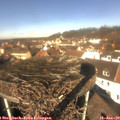 11_55-nest.jpg