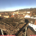12_00-nest.jpg