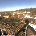 12_05-nest.jpg