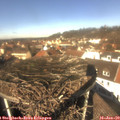 12_10-nest.jpg