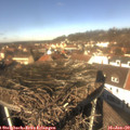 12_15-nest.jpg