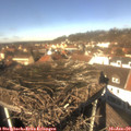 12_20-nest.jpg