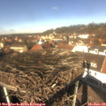 12_25-nest.jpg
