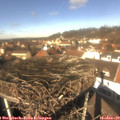12_30-nest.jpg
