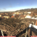 12_35-nest.jpg