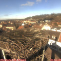 12_45-nest.jpg