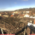 12_50-nest.jpg