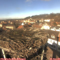 12_55-nest.jpg
