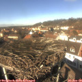 13_05-nest.jpg