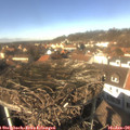 13_10-nest.jpg