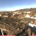 13_15-nest.jpg