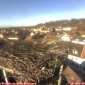 13_30-nest.jpg