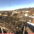 13_50-nest.jpg