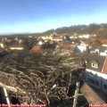 14_05-nest.jpg