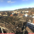 14_15-nest.jpg