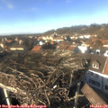 14_20-nest.jpg
