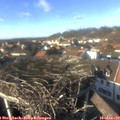 14_35-nest.jpg
