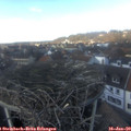 14_40-nest.jpg