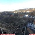 14_45-nest.jpg