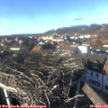 14_50-nest.jpg