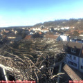 14_55-nest.jpg
