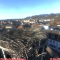 15_05-nest.jpg