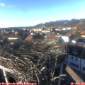 15_15-nest.jpg