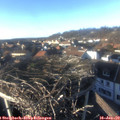 15_25-nest.jpg