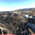15_30-nest.jpg