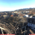 15_35-nest.jpg