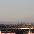 15_40-mast.jpg