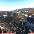 15_40-nest.jpg