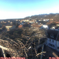 15_45-nest.jpg