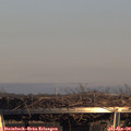 15_50-mast.jpg