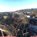 15_50-nest.jpg