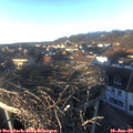 15_55-nest.jpg