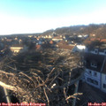 16_00-nest.jpg