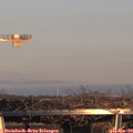 16_05-mast.jpg