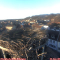 16_05-nest.jpg
