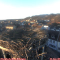 16_15-nest.jpg