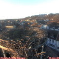 16_20-nest.jpg