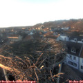 16_25-nest.jpg
