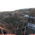 16_30-nest.jpg