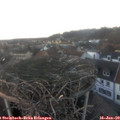 16_40-nest.jpg