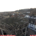 16_45-nest.jpg
