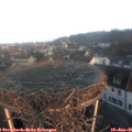 08_25-nest.jpg