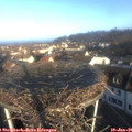 09_00-nest.jpg